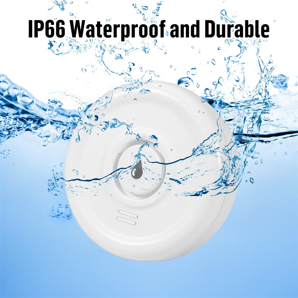 Fuers Water Leakage Detector S - Home Security Upgrades recension och pris