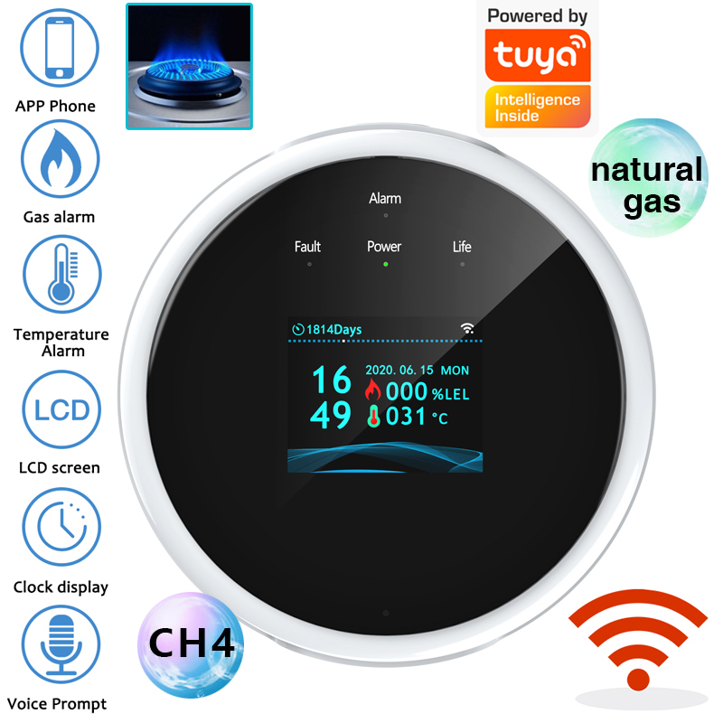 2.4G WiFi Gas Alarm Sensor Com - Home Security Upgrades recension och pris