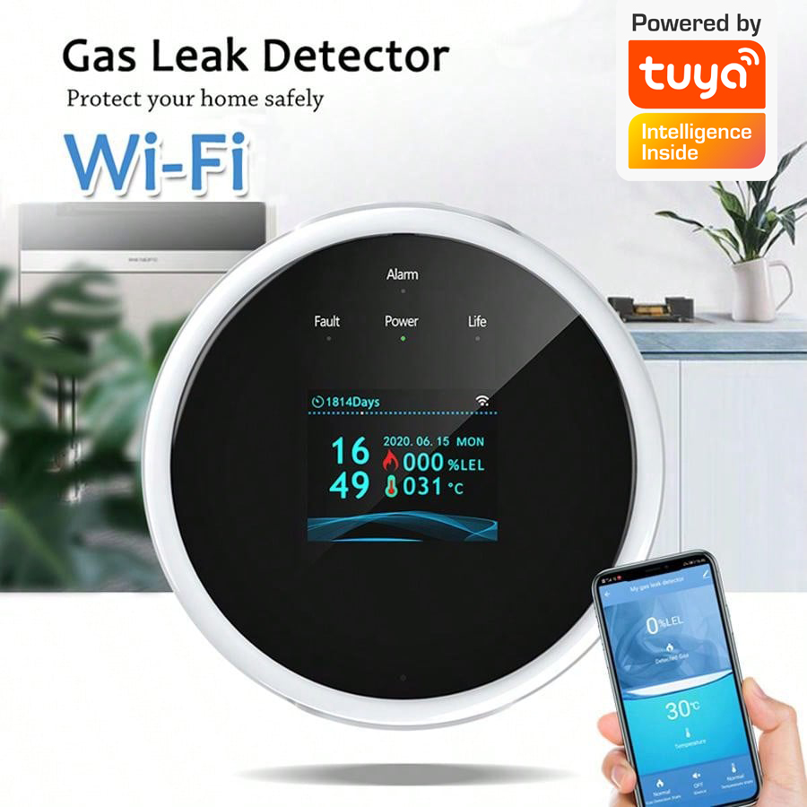 2.4G WiFi Gas Alarm Sensor Com - Home Security Upgrades recension och pris